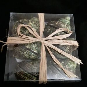 Creative Co-OP New Shell Dinning Cardholder